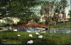 Stock #188581 Thumbnail