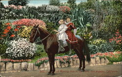 A Morning Ride In The Park Postcard