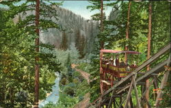 Scenic Railway Shasta Springs, CA Postcard Postcard