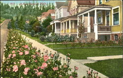 A Rose Bordered Walk Flowers Postcard Postcard