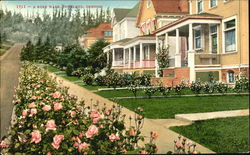 Stock #188621 Thumbnail