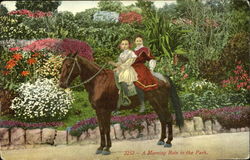 A Morning Ride In The Park Horses Postcard Postcard