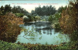 Chain Of Lakes, Golden Gate Park San Francisco, CA Postcard Postcard