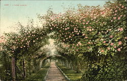 A Rose Arbor Postcard