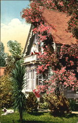 A Rose Covered Cottage Postcard