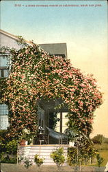 A Rose Covered Porch In California San Jose, CA Postcard Postcard