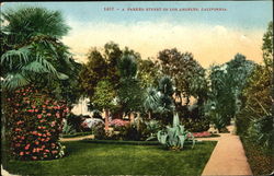 A Parked Street In Los Angeles Postcard