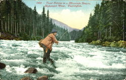 Trout Fishing In A Mountain Stream Postcard