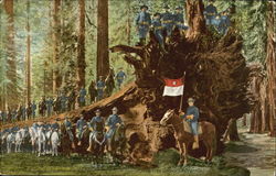 Stock #188862 Thumbnail