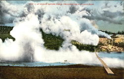 At Norris Geyser Basin, Yellowstone National Park Postcard