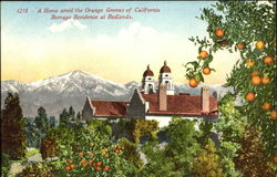 A Home Amid The Orange Groves Of California Burrage Residence At Redlands Postcard Postcard