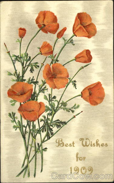 Best Wishes For 1909 New Year's