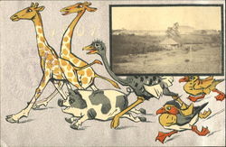 Group of Animals Running Postcard