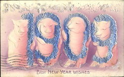 1909 Best New Year Wishes Pigs Postcard Postcard