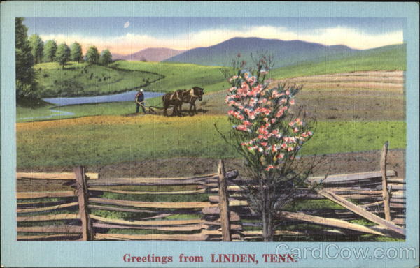 Greetings From Linden Tennessee