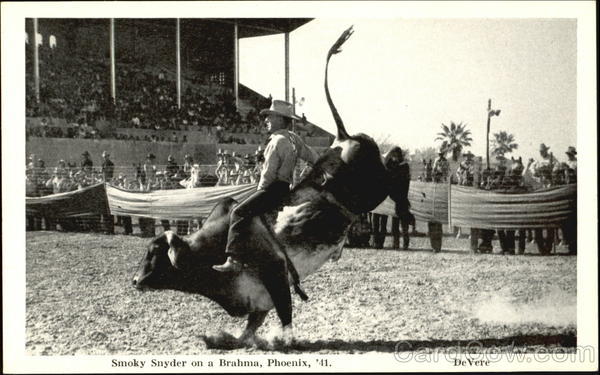 Smoky Snyder On A Brahma 1941 Phoenix Arizona