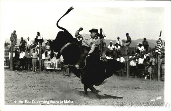 Beef's Coming Down In Idaho Rodeos