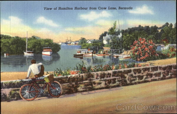 View Of Hamilton Harbour From Crow Lane Bermuda