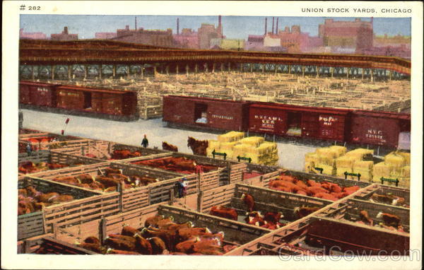 Union Stock Yards Chicago Illinois