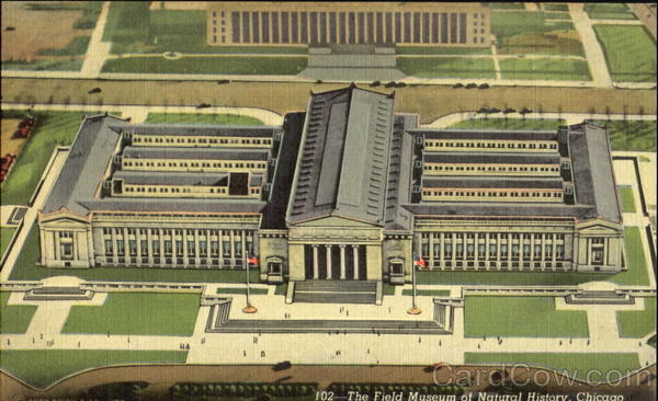 The Field Museum Of Natural History Chicago Illinois