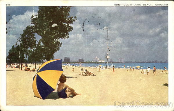 Montrose Wilson Beach Chicago Illinois