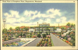 Front View Of Pangborn Plant Postcard