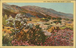 Cholla cactus and desert flowers Postcard