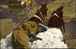 Man Asleep on Wagon full of Cotton Farming Postcard Postcard
