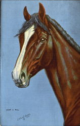 Just A Pal Postcard