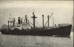 United States Lines Postcard