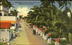 Promenade At Roney Plaza Pools Postcard