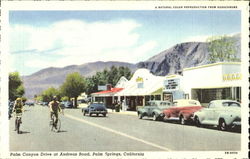 Palm Conyon Drive, Andreas Road Postcard