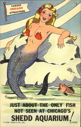 Stock #191460 Thumbnail