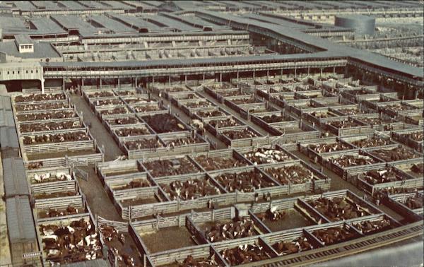 Union Stock Yards, Chicago Illinois