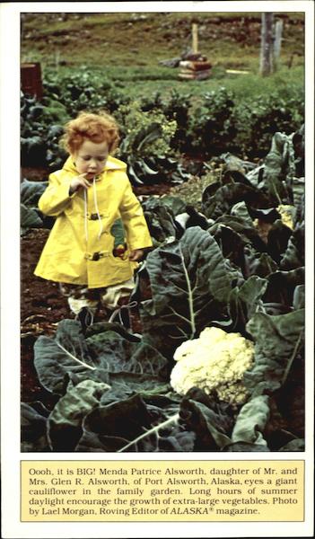 Gift Card for Alaska magazine Port Alsworth