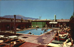 Tropical Palms Spa Motel Postcard