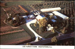 Lee Turkey Farm Homestead Postcard