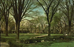 Cook Law Quadrangle Ann Arbor, MI Postcard Postcard