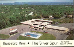 Cocca's Thunderbird Motel Latham, NY Postcard Postcard