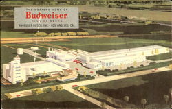 THE WESTERN HOME OF BUDWEISER Postcard