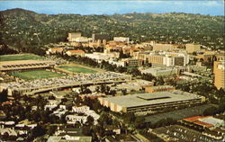 Aerial View of U.C.L.A Postcard