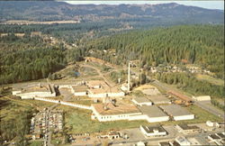 Simpson Timber Company Postcard