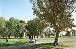 Scottsdale Inn & Country Club Arizona Postcard Postcard