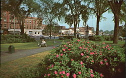 Central Square Park Keene, NH Postcard Postcard