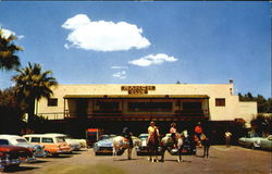 Shadow Mountain Club Pool Palm Desert, CA Postcard Postcard