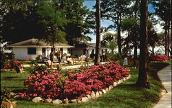 SEA GULL TOURIST COURT Postcard