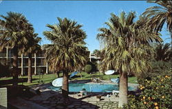 Los Olivos Hotel Phoenix, AZ Postcard Postcard