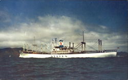 States Steamship Steamers Postcard Postcard