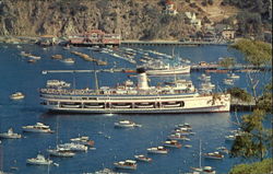 The Steamer "Catalina" Santa Catalina Island, CA Postcard Postcard