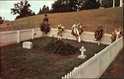 Grave of John F. Kennedy Postcard